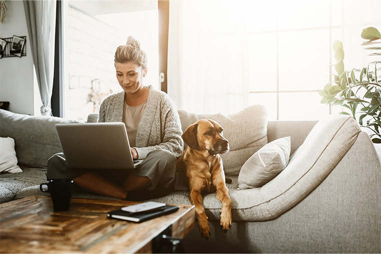 Comfortable-looking woman checking her laptop on the sofa with a dog 